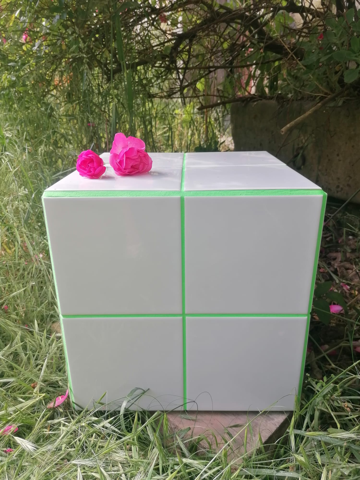 Disco Box