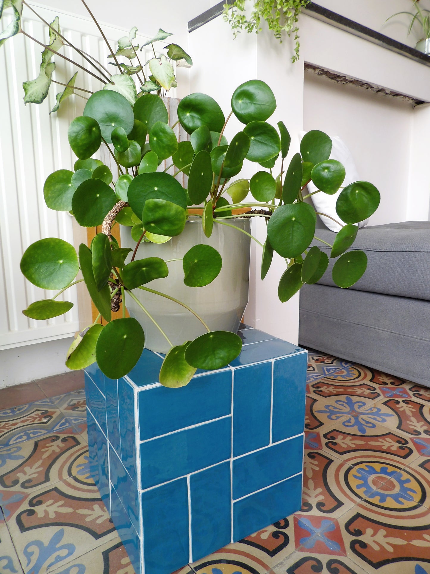 Box Compo Bleu