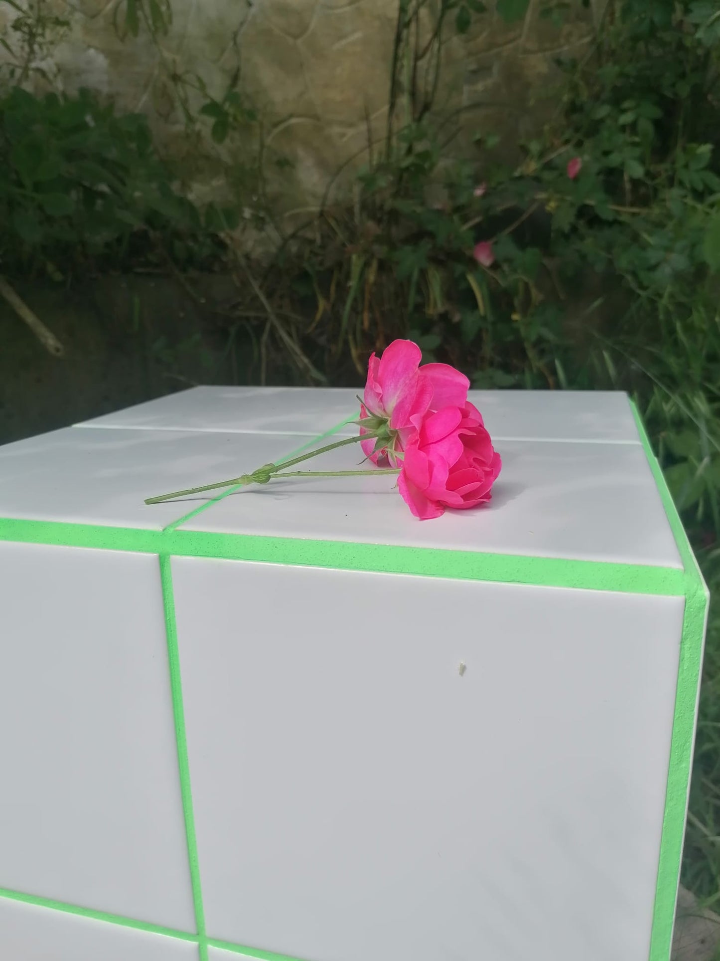 Disco Box