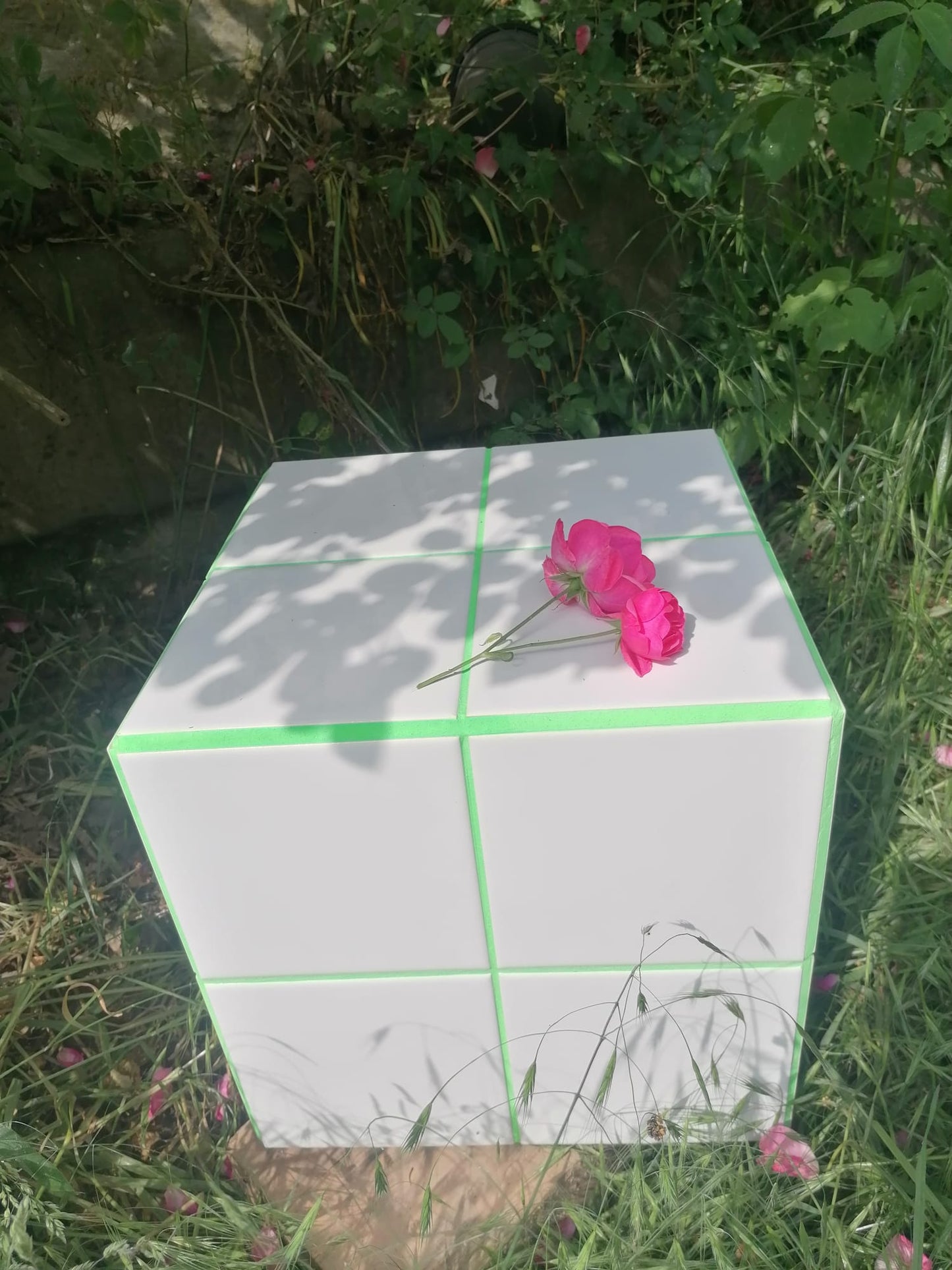 Disco Box