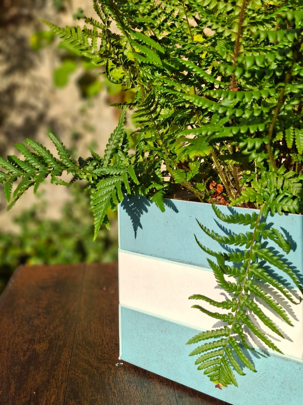 Jardinière Turquoise/blanc